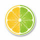 Yuzu Citrus