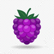 Raspberry
