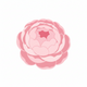 Peony